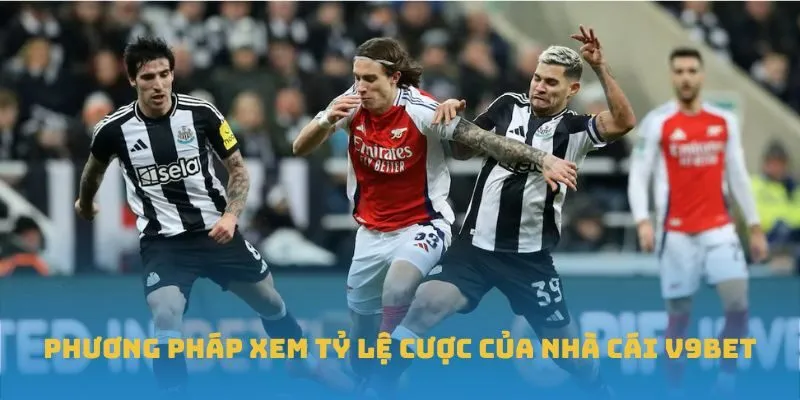 Phương pháp xem tỷ lệ cược của nhà cái V9BET